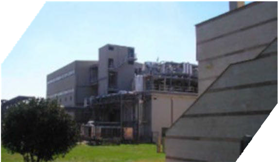 manufacturing site 