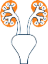 urology
